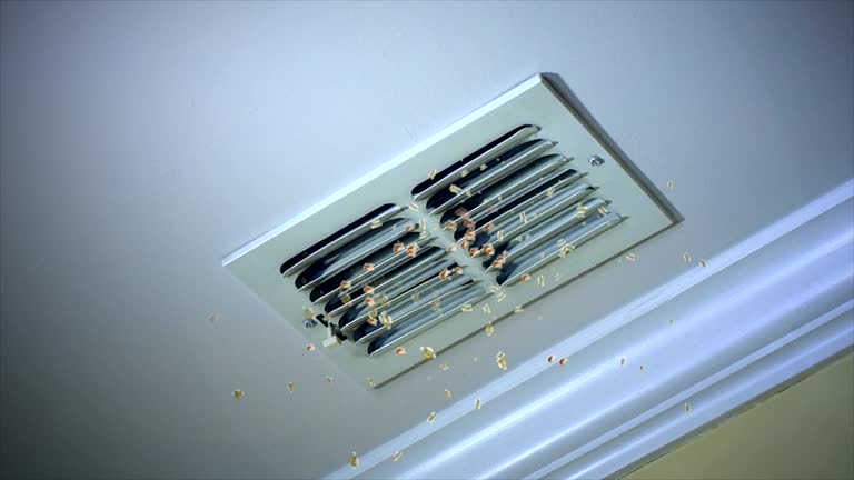 Best Best Air Duct Cleaning Company  in Browns Lake, WI