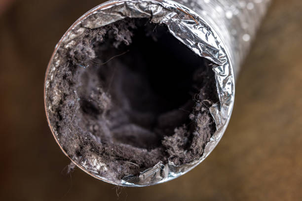 Best Best Air Duct Cleaning Near Me  in Browns Lake, WI